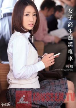 IPZ-202 Studio Idea Pocket Schoolgirl Molester Train - Raina