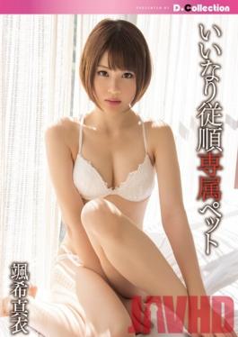 DCOL-014 Studio D*Collection My Exclusive Submissive Pet Mai Satsuki