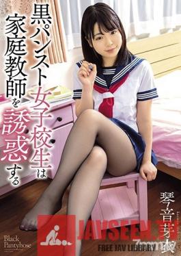 AYB-020 Studio GLORY QUEST - Black Pantyhose Schoolgirl Tempts Private Tutor Mei Kotone