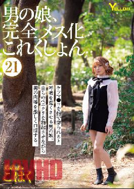 HERY-123 Studio Yellow / HERO Otokonoko,Completely Female Collection 21 Kohaku