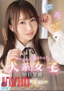 IPIT-031 Studio IDEA POCKET Dog Girl Who Will Surely Heal You,Ashitaba Yu AV Debut