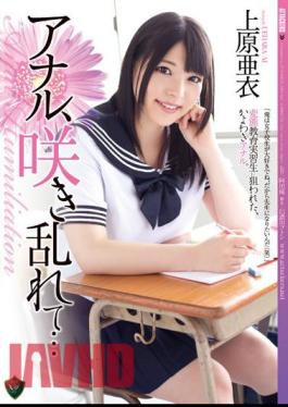 Mosaic RBD-624 Job, Bloom ... Ai Uehara