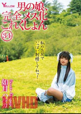 HERY-138 Man's Daughter, Complete Female Collection 34 Haruka Kisaragi