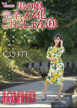 HERY-148 Male Daughter, Complete Female Collection 41 Tachibana Serina