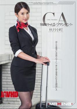 Mosaic MXGS-833 Cabin Attendant's Other Face Komachi Akizuki