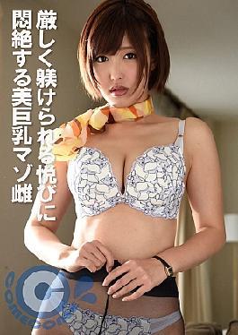 English sub PYU-446 Beautiful Busty Masochist Woman Faints In Pleasure At Being Disciplined Rigorously