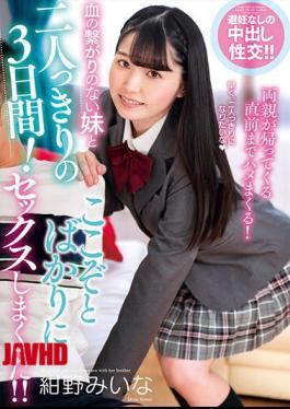 Mosaic AMBI-143 Three Days Alone With My Sister Who Has No Blood Connection! I Just Had Sex Here! Miina Konno