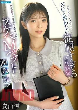 A043