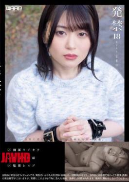 Mosaic WZEN-068 Banned 18 Female College Student Hoshirai (19)