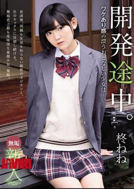 Mosaic MUDR-167 Innocent Rookie Debut In Development. A Gentle Girl With A Sense Of Reason ... Hiiragi