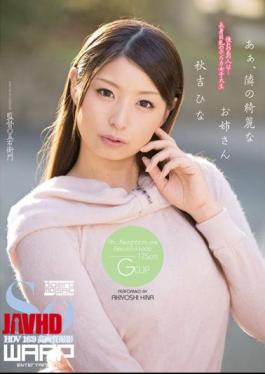 Mosaic WSS-160 Ah, The Beautiful Sister Hina Akiyoshi Next