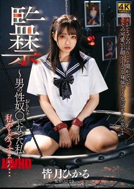 Mosaic DDHH-020 Confinement-I Became A Male Sex Guy-Hikaru Minazuki