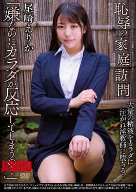 Mosaic APNS-301 Humiliation Home Visit Erika Ozaki