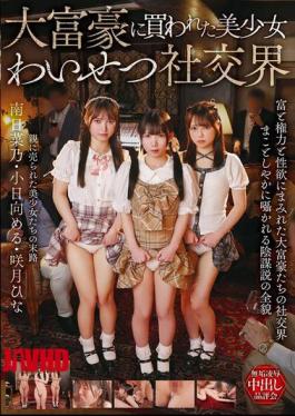 T-38069 A Beautiful Girl Bought By A Billionaire Enters A Lewd Social Circle.