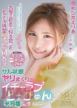 Mosaic STARS-00128bod Model Body Slender That I First Met At University, She And Monkey State Spear Icharab Doppyun Half Cohabitation Life Maria Wakui (Blu-ray Disc) (BOD)