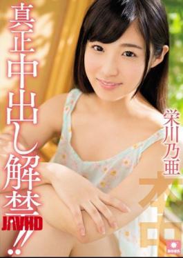 Mosaic HND-354 Pies Authenticity Ban! Sakaegawa Noa