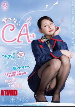 Mosaic DLDSS-543 Flight Attendant Who Can't Fly Keeps A 'just' Male Pig As A Pet. A Diary Of A 'training' Session With A Useless Pilot On A Flight Cancellation Day Mitsuba Chiharu