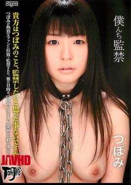 Mosaic DDT-380 I Immediately Confined N
