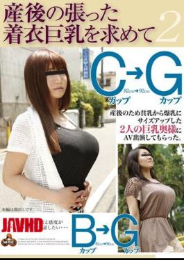 NITR-014 2 B  G Cup Cup In Search Of Clothing Big Tits An Official Of Postpartum