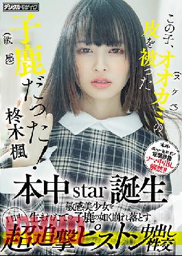 HMN-049 Studio Honnaka This Kid Was A Fawn (sensitive) With The Skin Of A Wolf (lewd)! Honnaka Star Birth All Day Super Pursuit Piston Cum Shot Sexual Intercourse That Collapses A Sensitive Beautiful Girl Like A Newborn Fawn Kaede Hiiragi