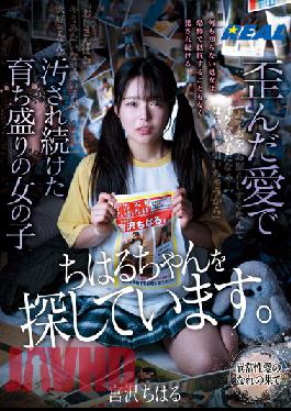 REAL-801 Studio K.M.Produce I'm Looking For Chiharu-chan. Chiharu Miyazawa,A Growing Girl Who Has Been Polluted By Distorted Love