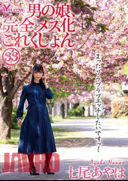HERY-137 Man's Daughter, Complete Female Collection 33 Nanao Ayaha