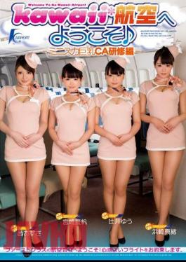 KAPD-026 Ed Training CA Big Mini Skirt - Welcome To Kawaii * Aviation -